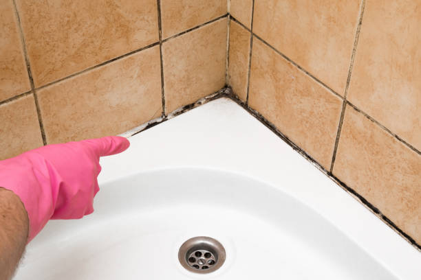 Best Residential Mold Removal  in Blue Jay, OH